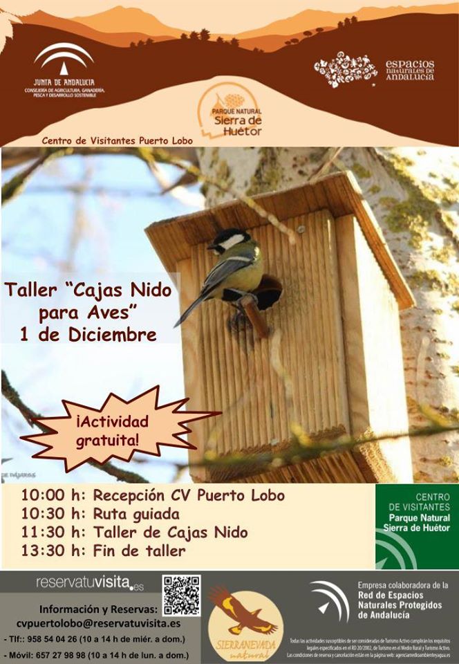 taller cajas nido Granada