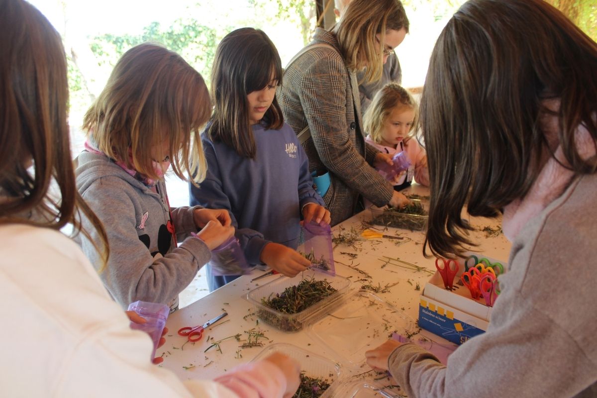 centro educación ambiental Granada 