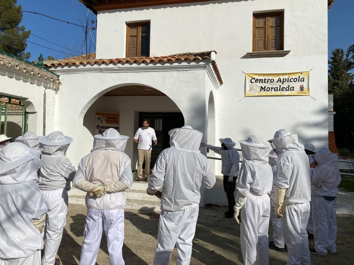 cursos apicultura Granada
