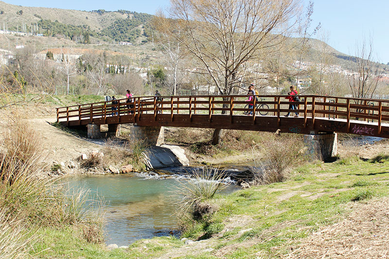 camino a Pinos Genil