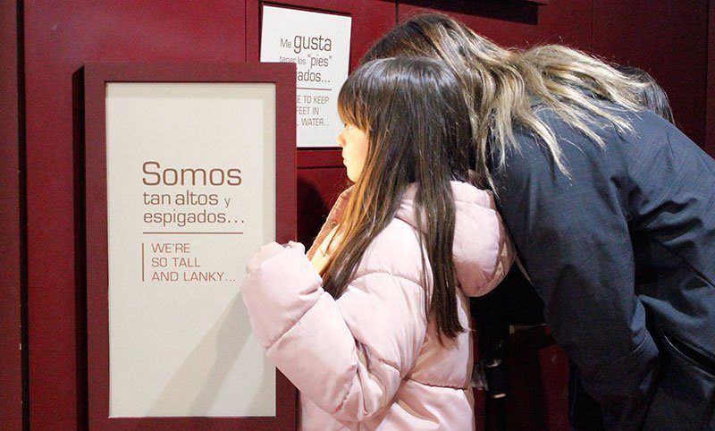 Centro visitantes Puerto Lobo