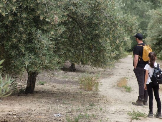 planes naturaleza en familia Alfanevada Granada